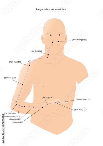 agopuntura: meridiano dell'intestino crasso