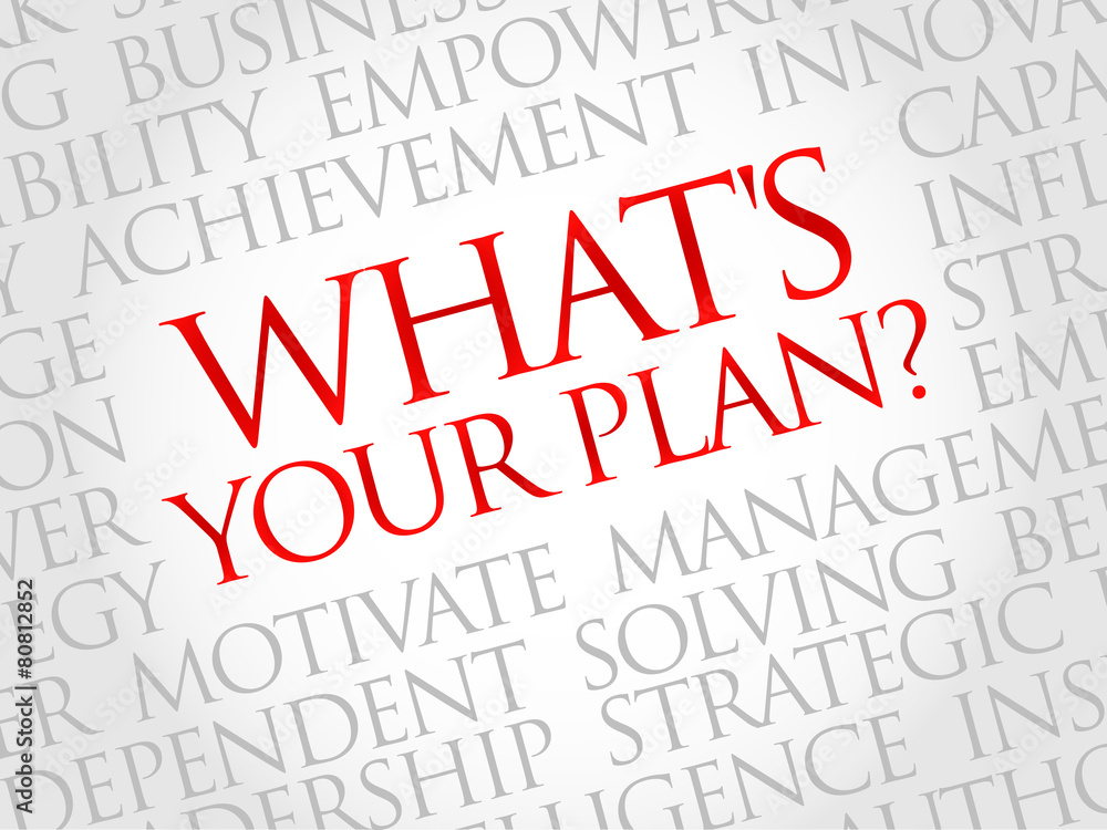 What's Your Plan word cloud, business concept What's Your Plan word cloud, business concept