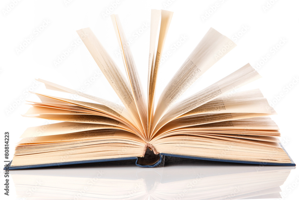 Fototapeta premium Books on white background