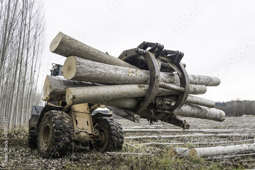 Canvas Print forwarder
