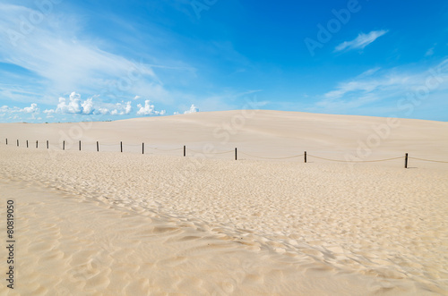 Wooden poles on sand dune in Slowinski National Park  Poland