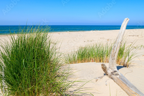 Dry tree trunk on dune at Baltic Sea beach in Rowy, Poland photo