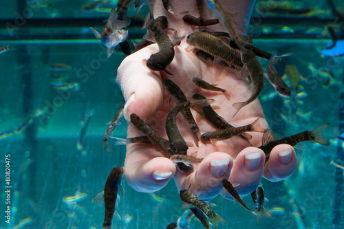 Hauttherapie mit Kangalfischen