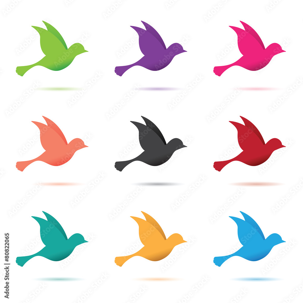 Fototapeta premium set of birds in flight