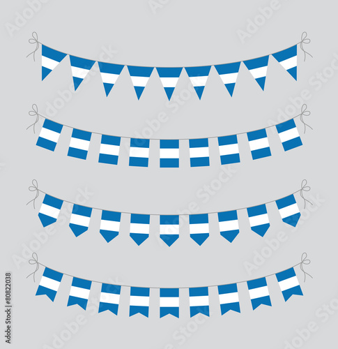argentina bunting