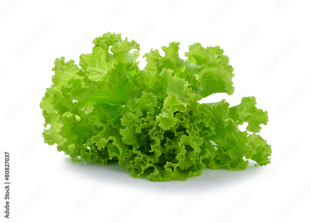 lettuce on white background lettuce on white background