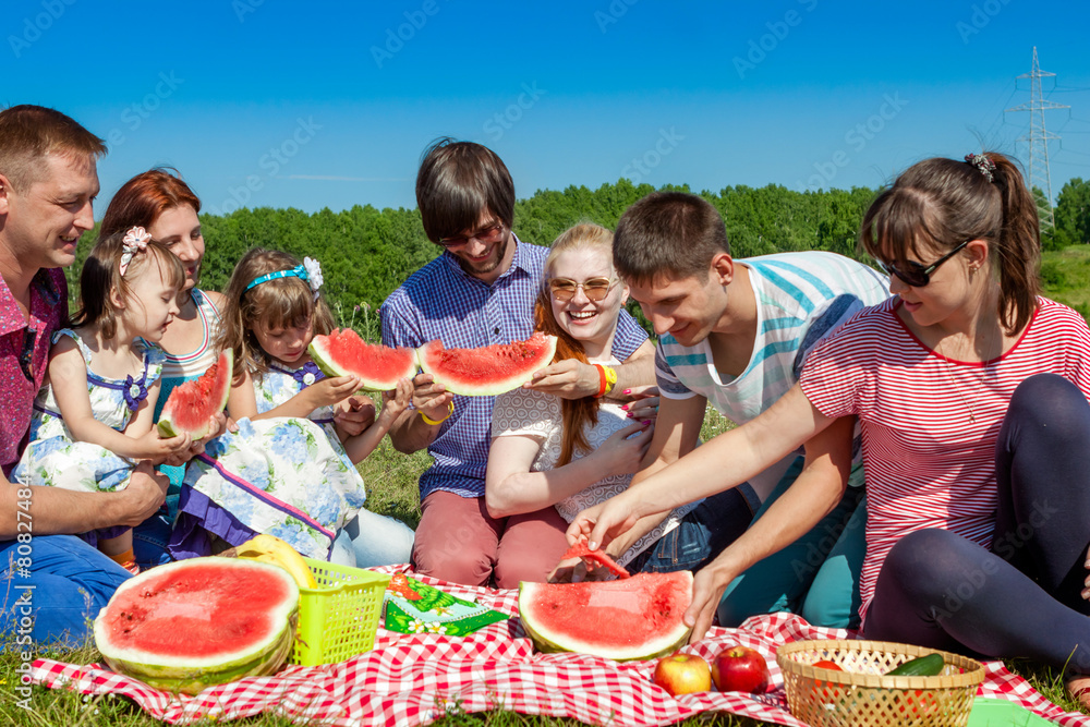 outdoor group portrait of happy company having picnic on green g outdoor group portrait of happy company having picnic on green g