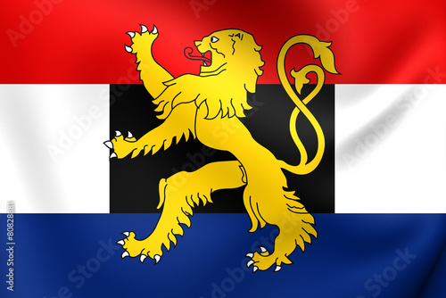 Flag of Benelux