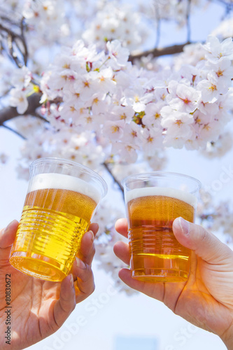 桜と乾杯