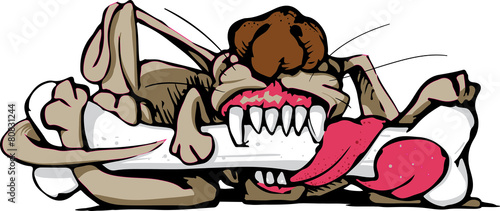 dog eating a bone