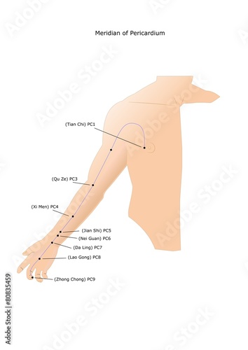 agopuntura: meridiano del pericardio photo