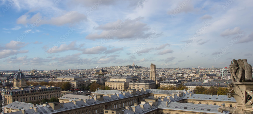 View of Paris from top Notre Dame