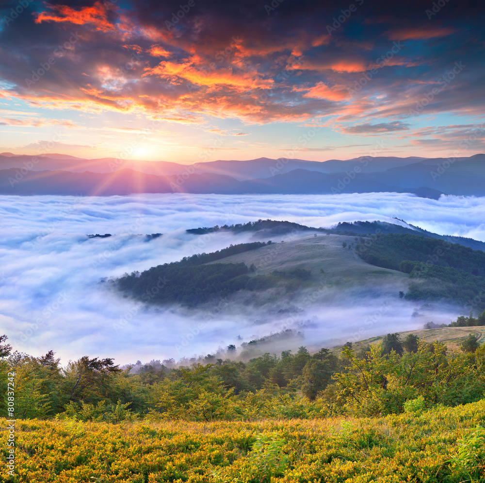 Colorful summer sunrise in the foggy mountains
