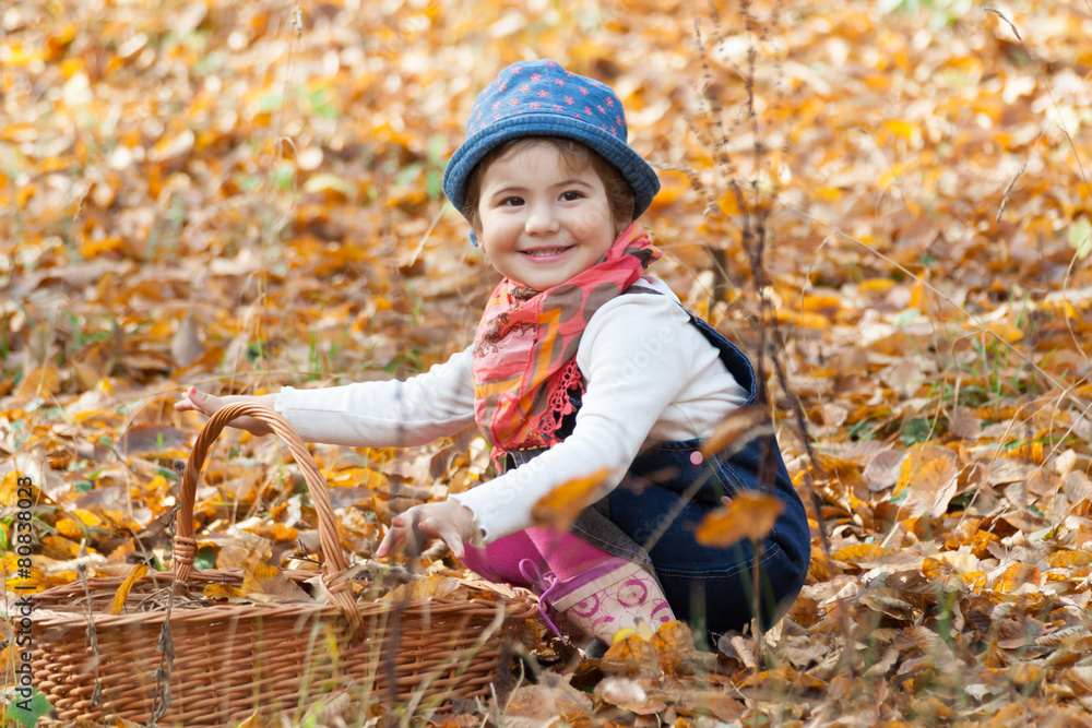 autumn fun autumn fun