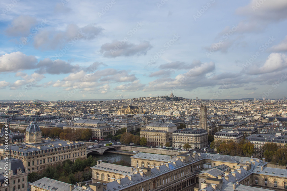 Paris from height of bird's flight