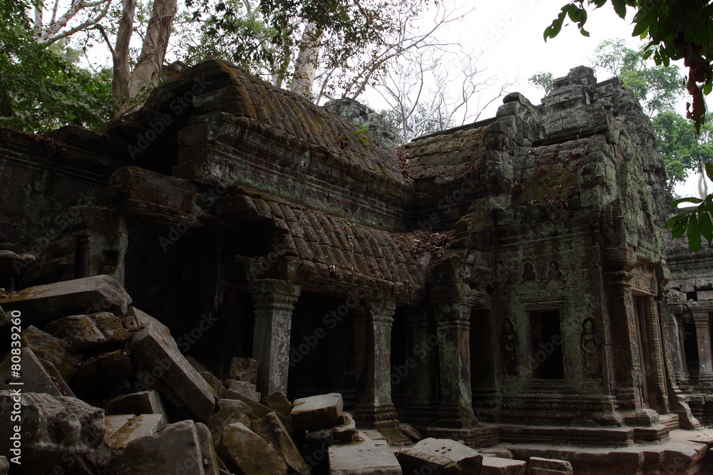 Ta Prohm Temple in Angkor, Siem Reap, Cambodia Ta Prohm Temple in Angkor, Siem Reap, Cambodia