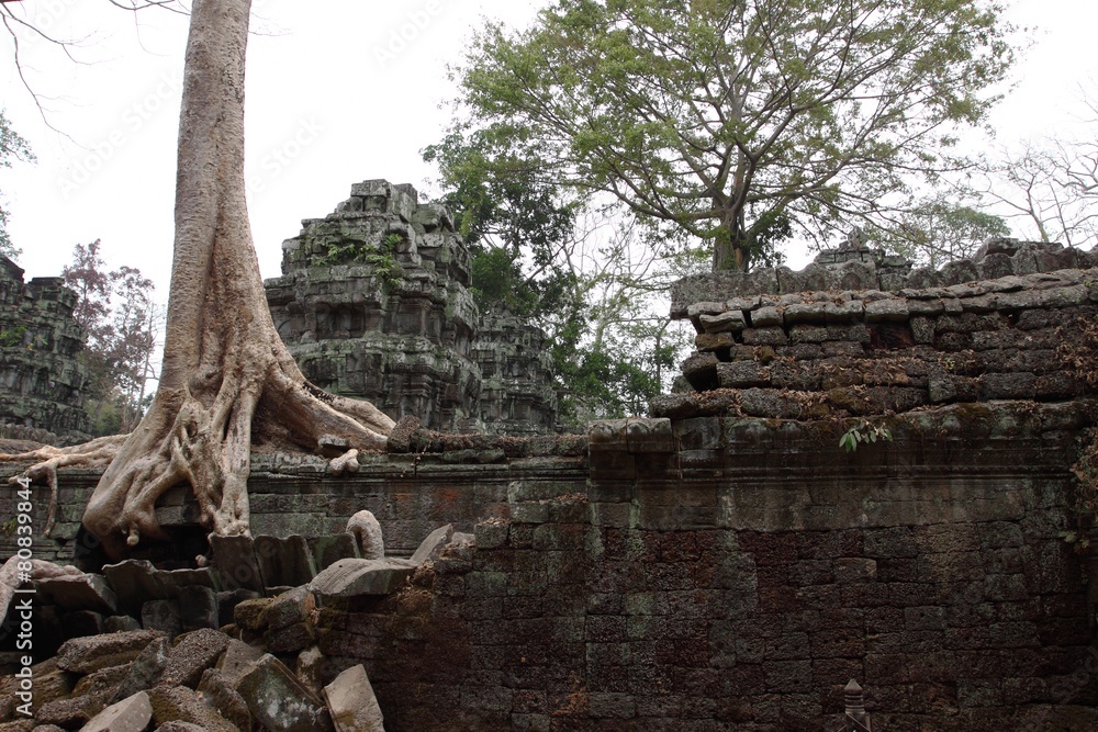 Ta Prohm Temple in Angkor, Siem Reap, Cambodia Ta Prohm Temple in Angkor, Siem Reap, Cambodia