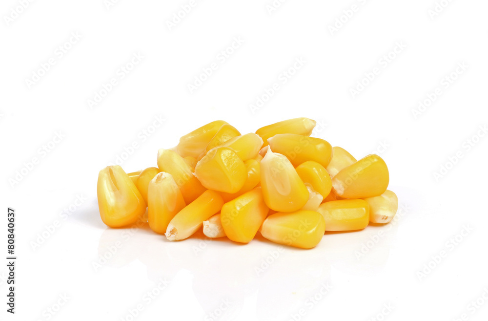 Fototapeta premium corn on white background