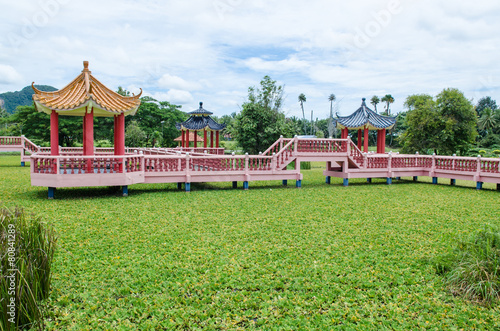 Wallpaper Mural Taman Rekreasi Tasik Melati, Perlis, Malaysia Torontodigital.ca