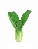  Bok choy (chinese cabbage or Qing geng cai) isolated on white w