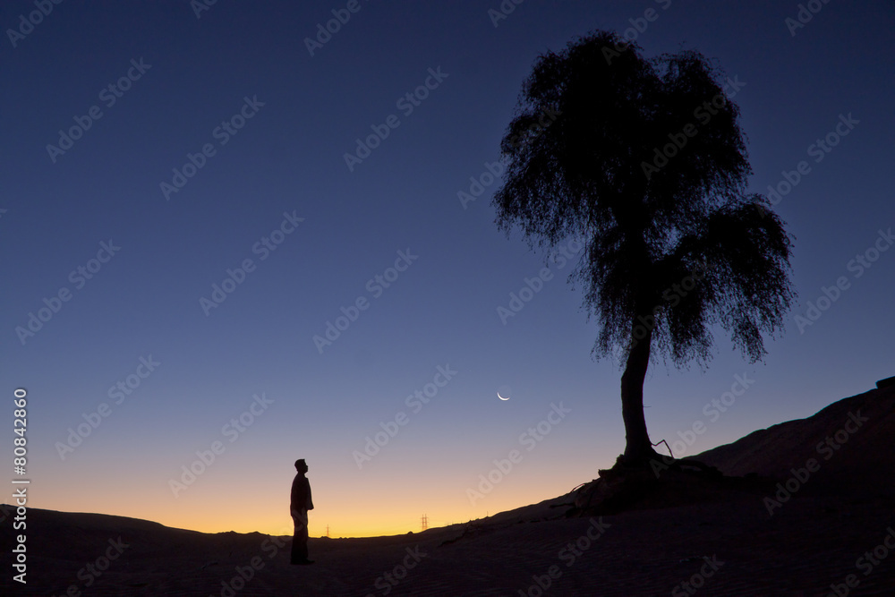 Silhouette of a man standing alone near a tree - obrazy, fototapety, plakaty 