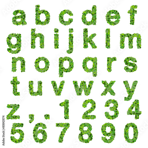 Alphabet with numbers made from green leaves.