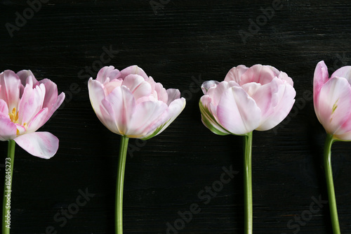 Fresh tulips on wooden background #80845273