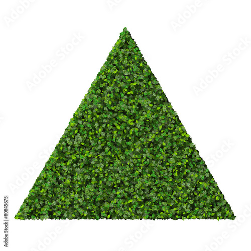 Triangle made from green leaves.