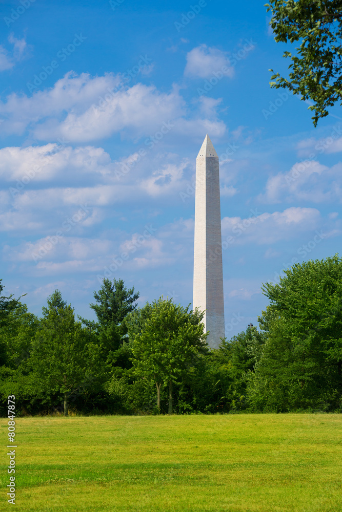 Washington Monument from meadow DC USA