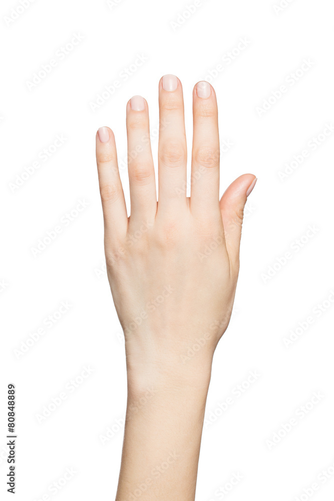 Beautiful woman's hands isolated on white background Beautiful woman's hands isolated on white background