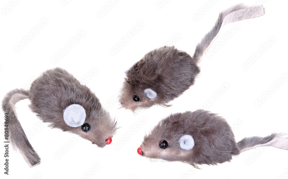 Cat Fishing Toy - Mouse on Rope with Pole White Background . Stock