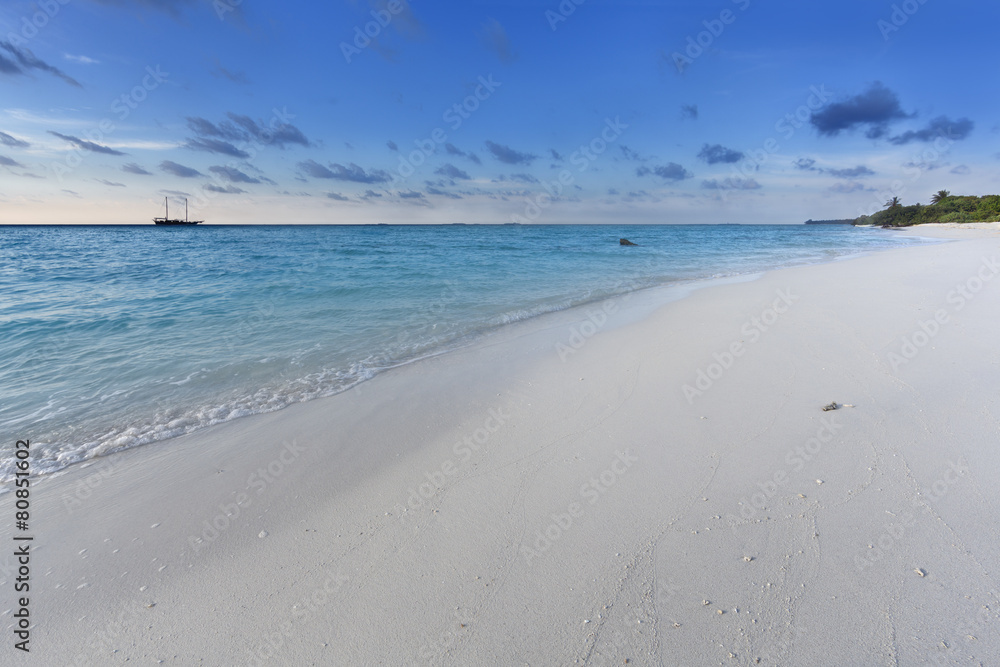 Fototapeta premium Tropical landscape