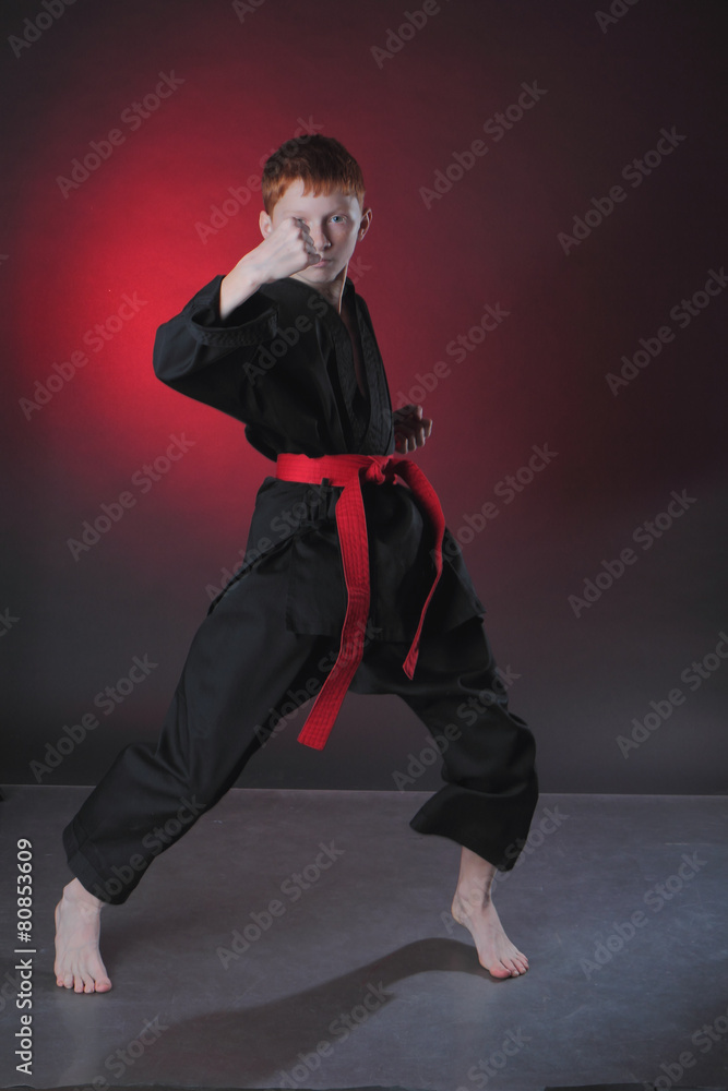 Karate in the attack.