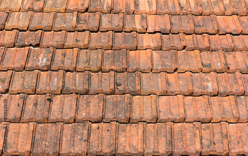 tile tile