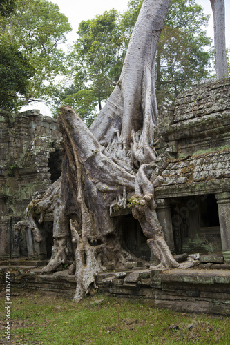 Cambodia, ancient Temple, Angkor Wat
