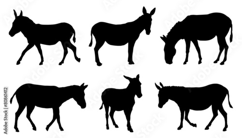 donkey silhouettes