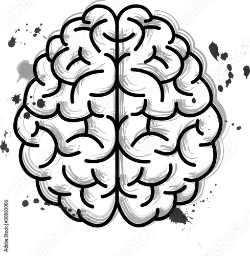 Brain
