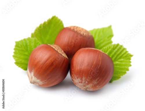 Filbert nuts with leaf