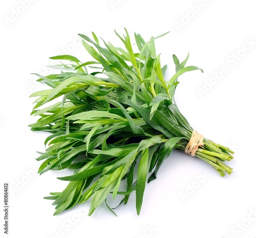 Tarragon herbs photo