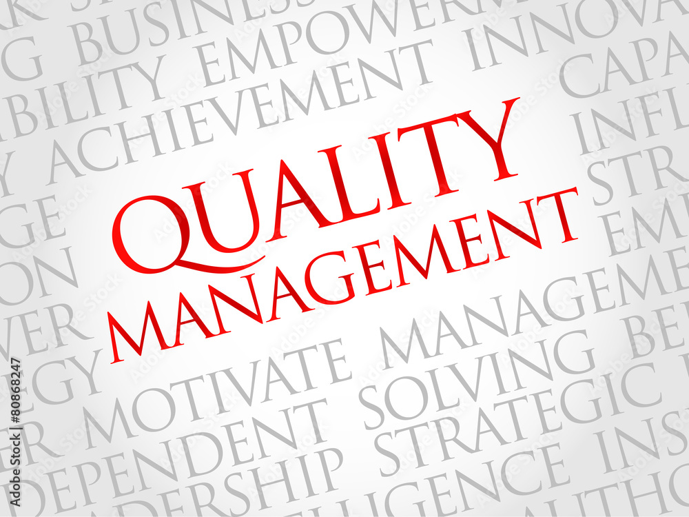 Quality Management word cloud, business concept