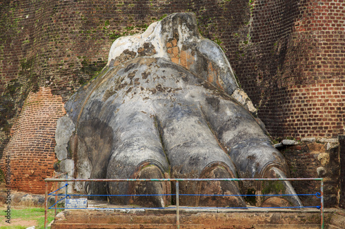 Lions paw at Sigiriya, Sri ...