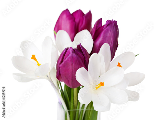 Fresh bouquet with tulips and crocus isolated on white