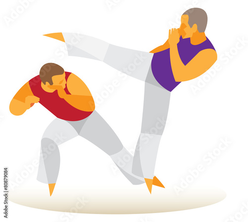 brazilian martial arts