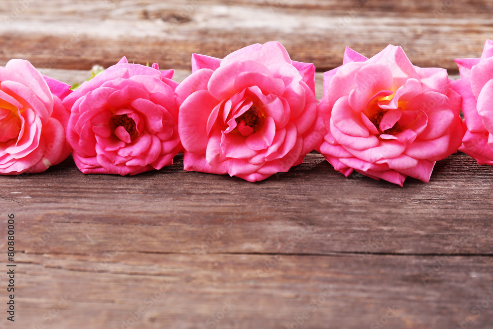 Row of beautiful pink roses on wooden table