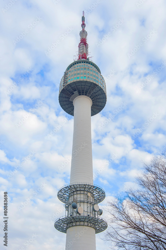 Obraz premium N Seoul Tower Located on Namsan Mountain in central Seoul,Korea.
