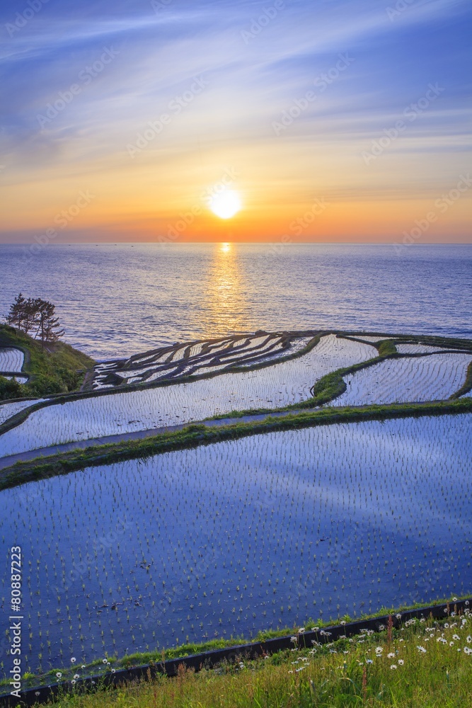 Fototapeta premium Rice terraces at sunset, Shiroyone senmaida, Ishikawa