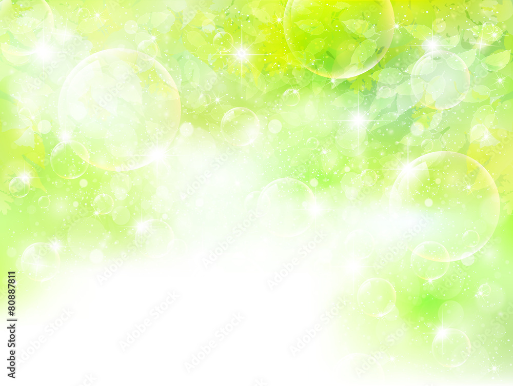 Fototapeta premium 葉 新緑 背景