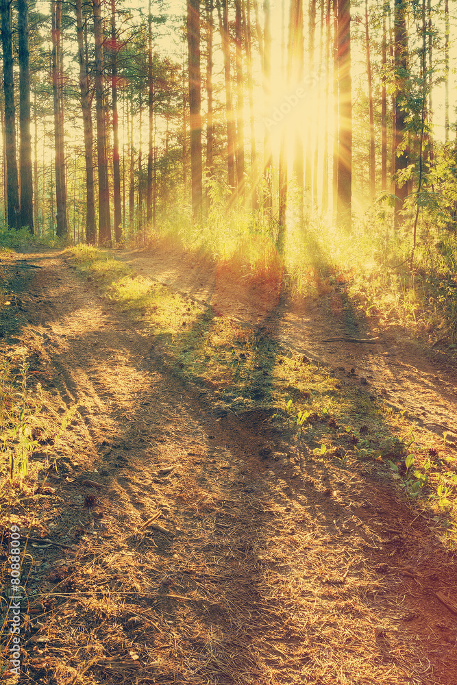 Obraz premium sunset, instagram retro style