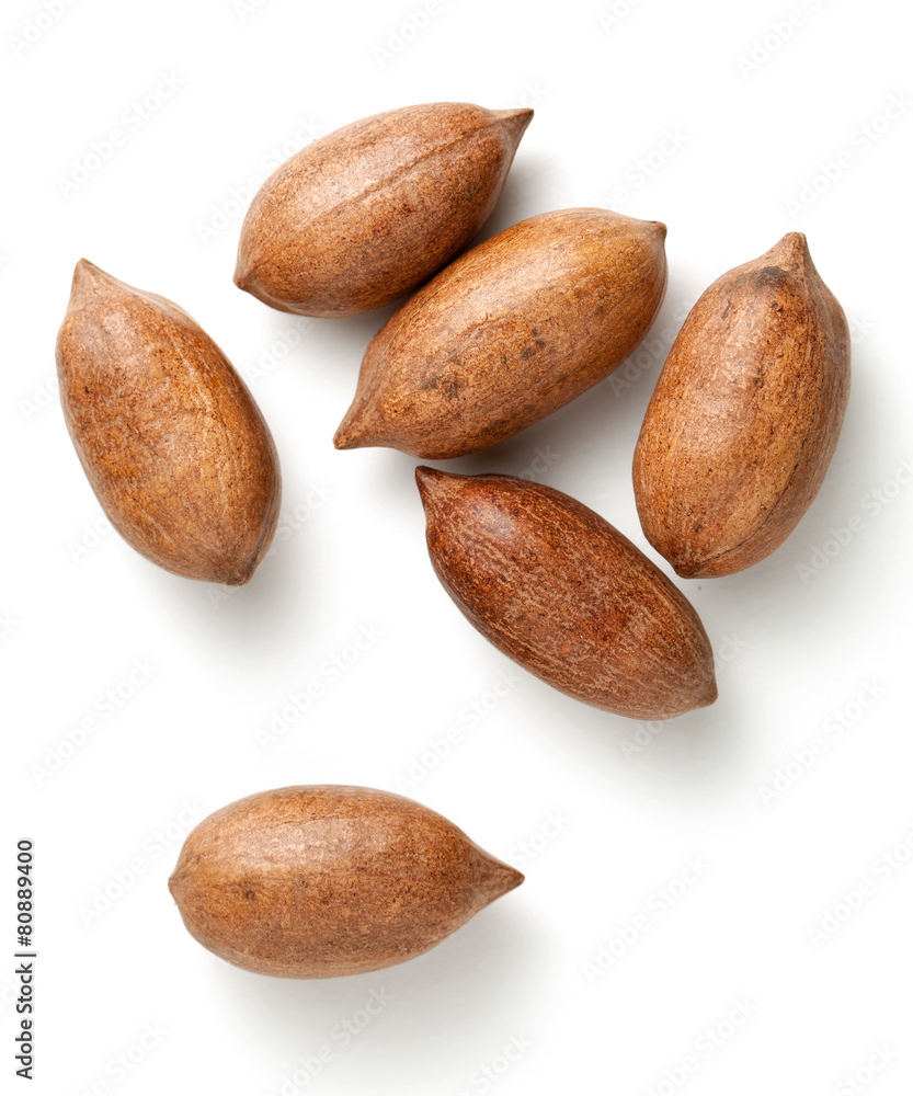 Pecan nuts in nutshells Pecan nuts in nutshells