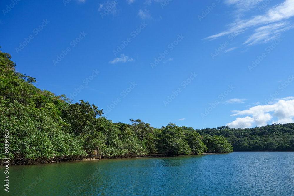 Fototapeta premium Prefektura Okinawa Wyspa Iriomote Rzeka Urauchi